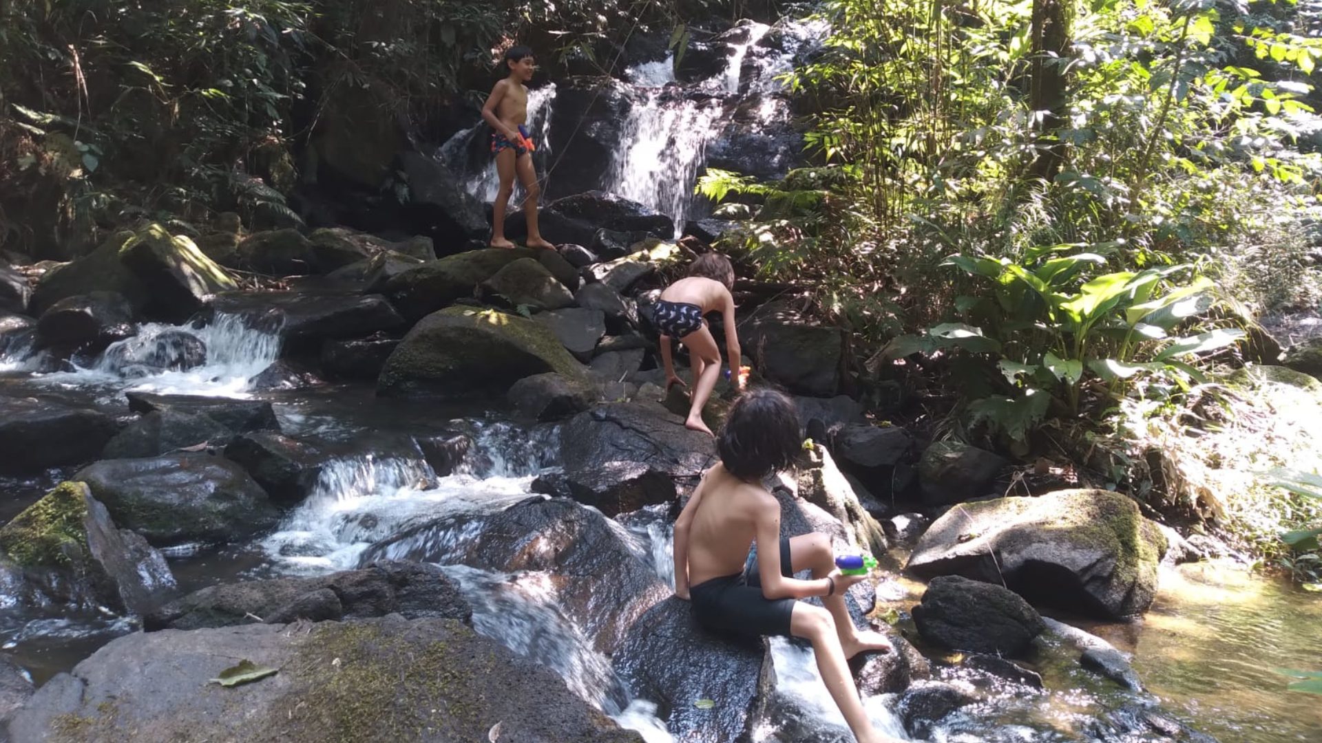 Crianças brincando na mata